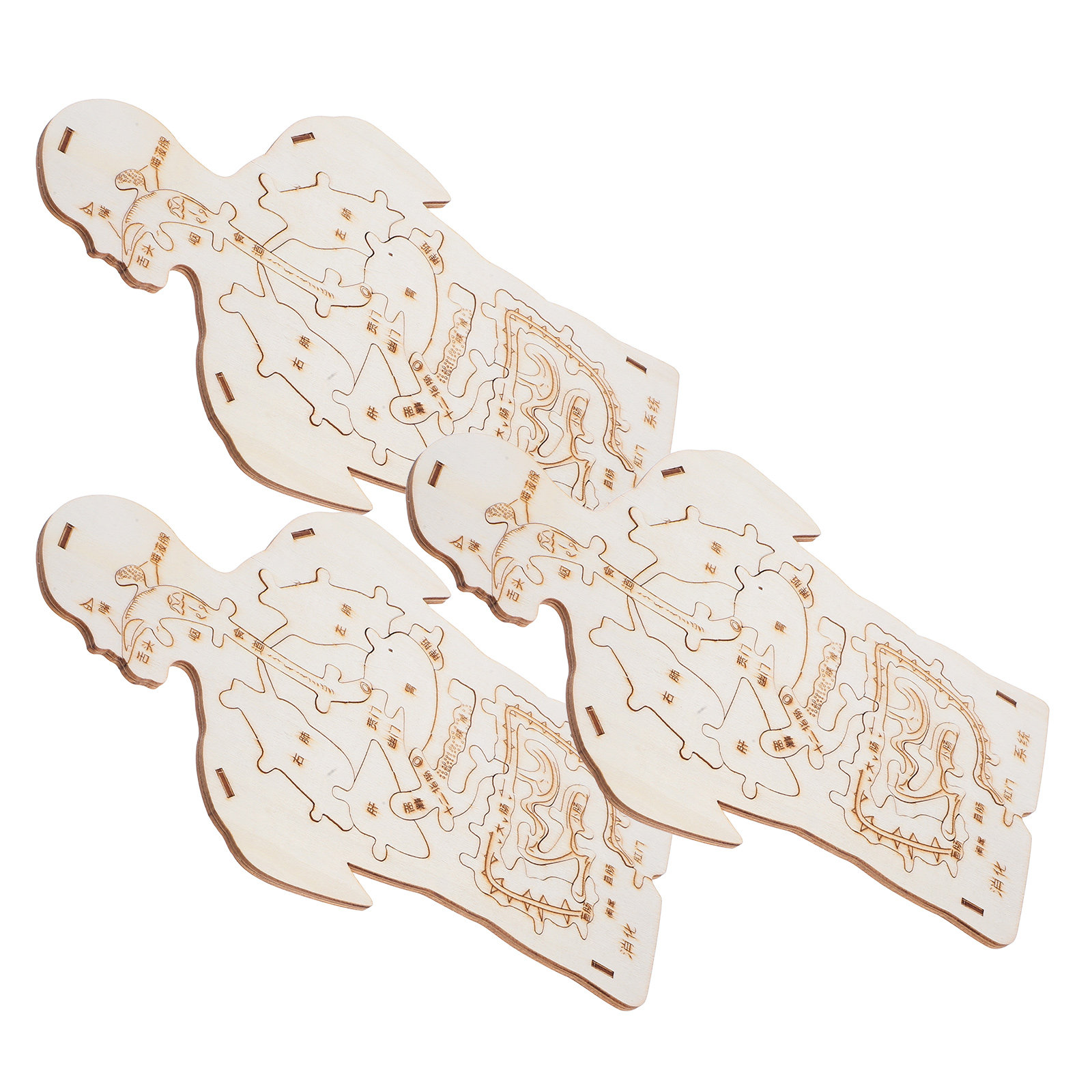 3Pcs Wooden Human Body Puzzle  - مراجعة Kids Education System وسعره