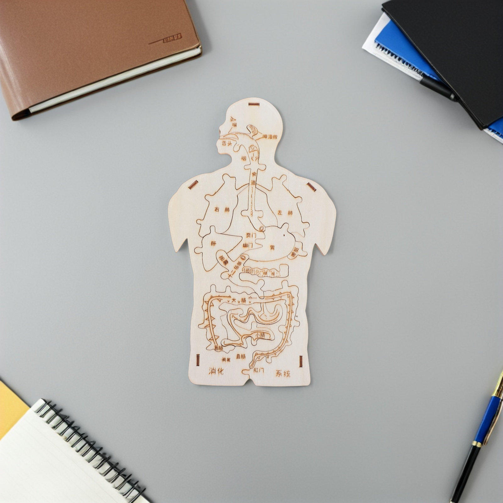 3Pcs Wooden Human Body Puzzle  - مراجعة Kids Education System وسعره