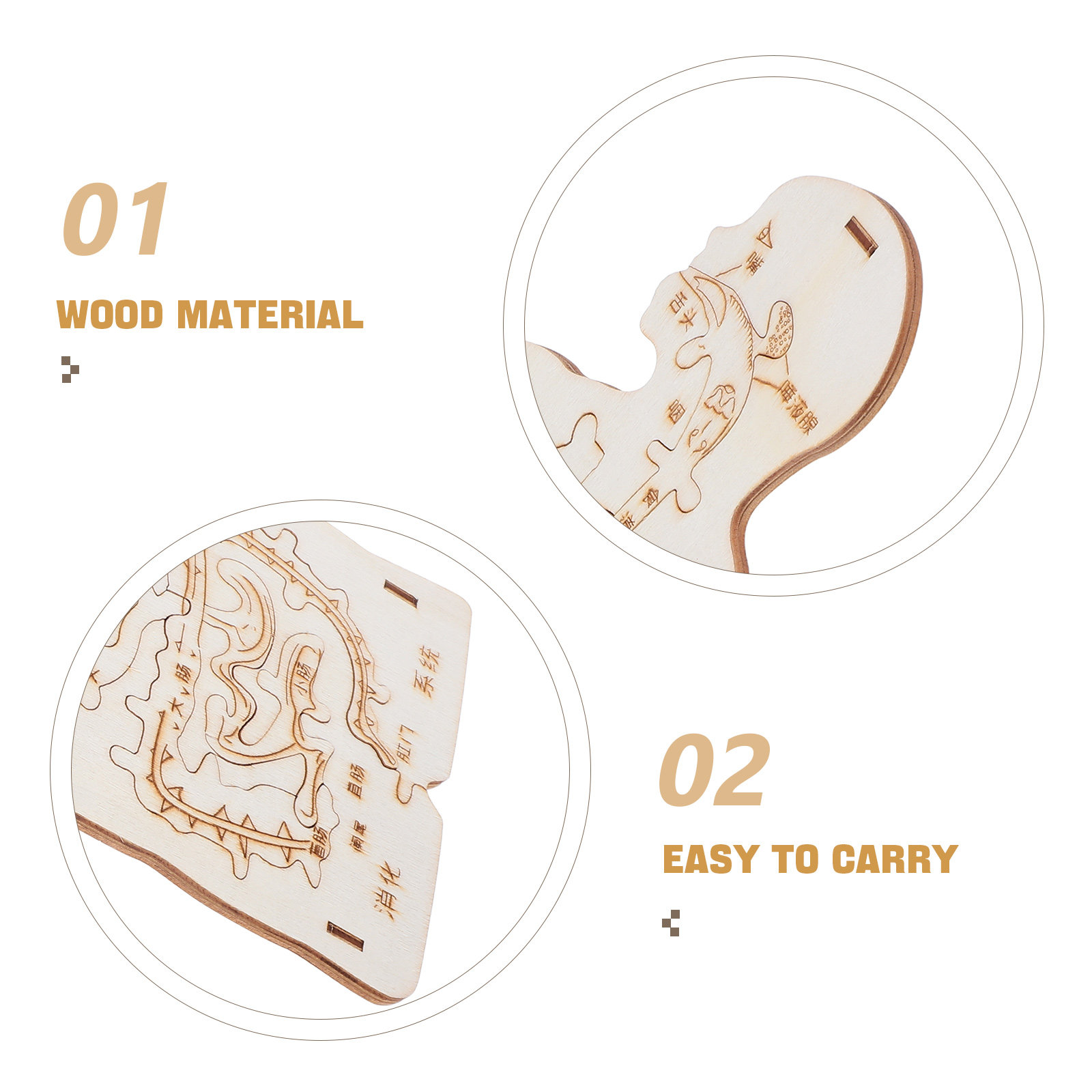 3Pcs Wooden Human Body Puzzle  - مراجعة Kids Education System وسعره