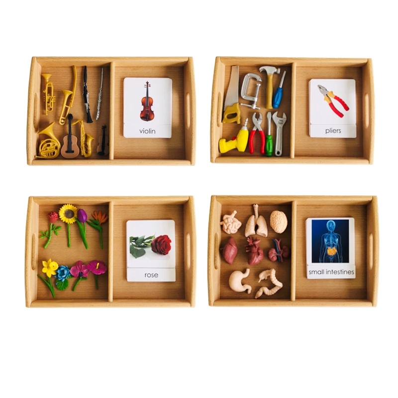 Montessori Language Materials  - مراجعة Human Body Puzzle وسعره