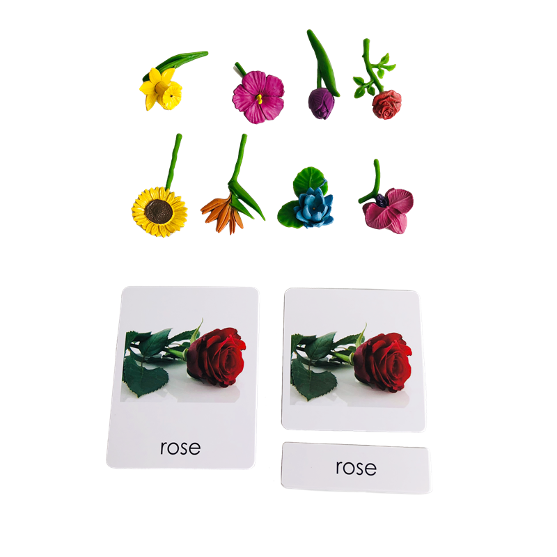 Montessori Language Materials  - مراجعة Human Body Puzzle وسعره
