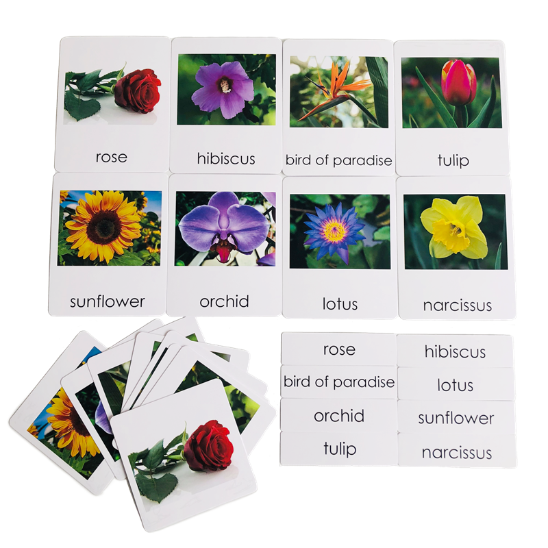 Montessori Language Materials  - مراجعة Human Body Puzzle وسعره