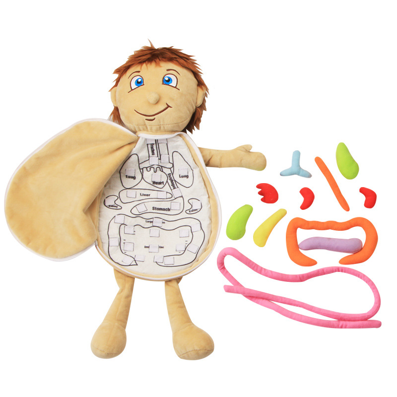 Human Viscera Cognitive Kid 3D - مراجعة Human Body Puzzle وسعره