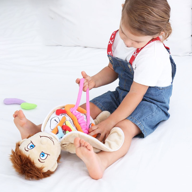 Human Viscera Cognitive Kid 3D - مراجعة Human Body Puzzle وسعره