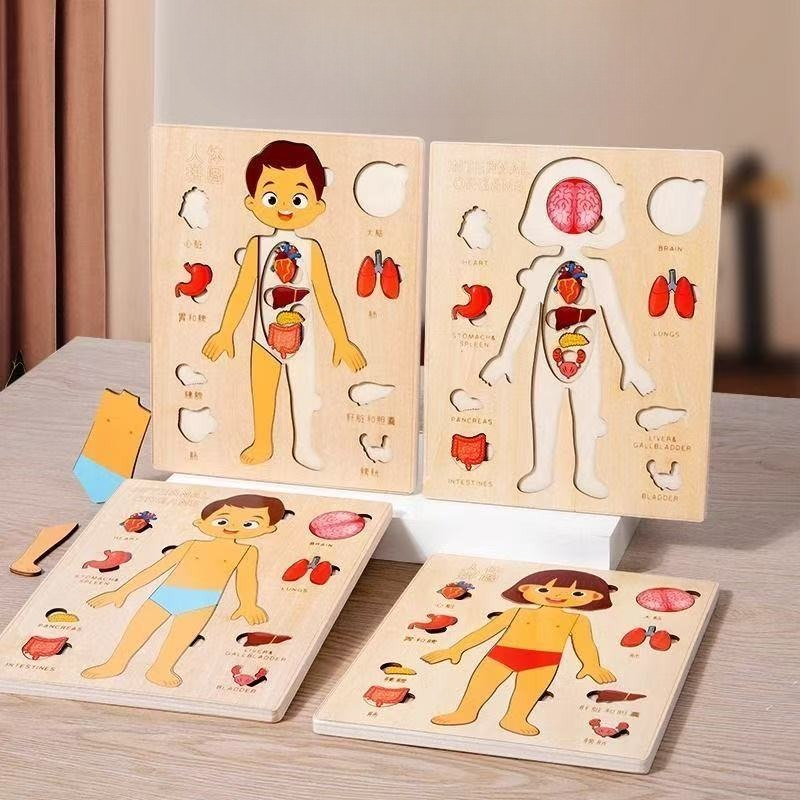 Montessori Puzzles Busy Board  - مراجعة Human Body Puzzle وسعره