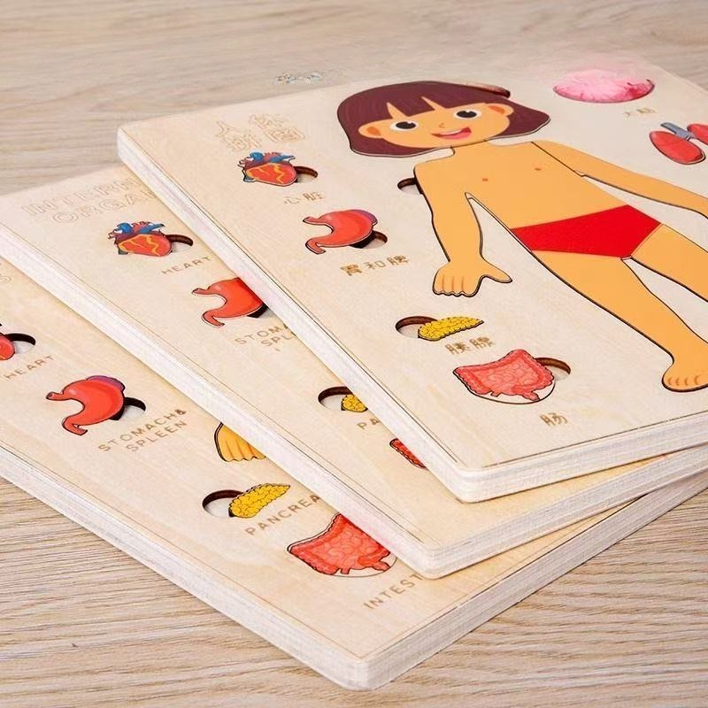 Montessori Puzzles Busy Board  - مراجعة Human Body Puzzle وسعره