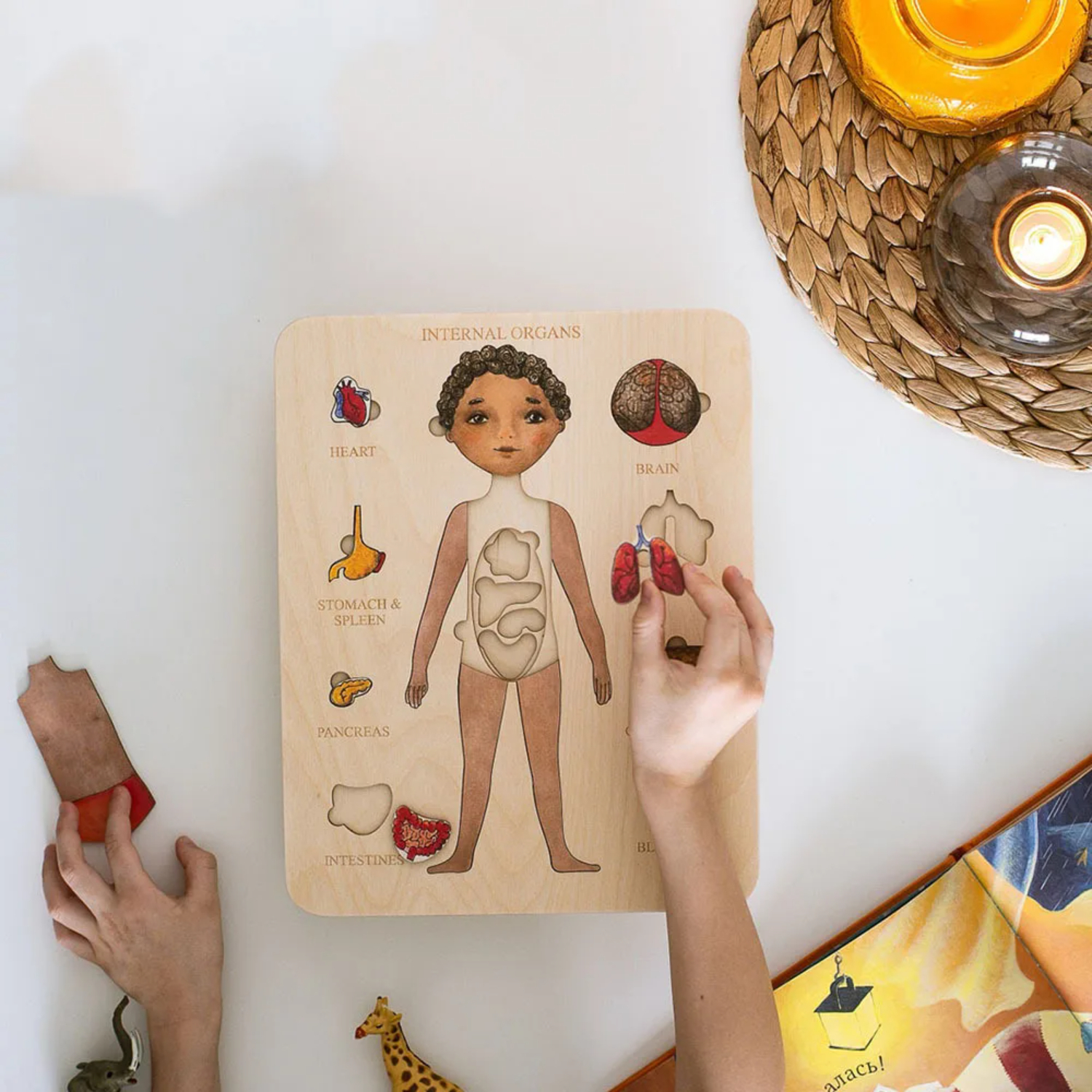 Montessori Wooden Puzzle Male  - مراجعة Human Body Puzzle وسعره