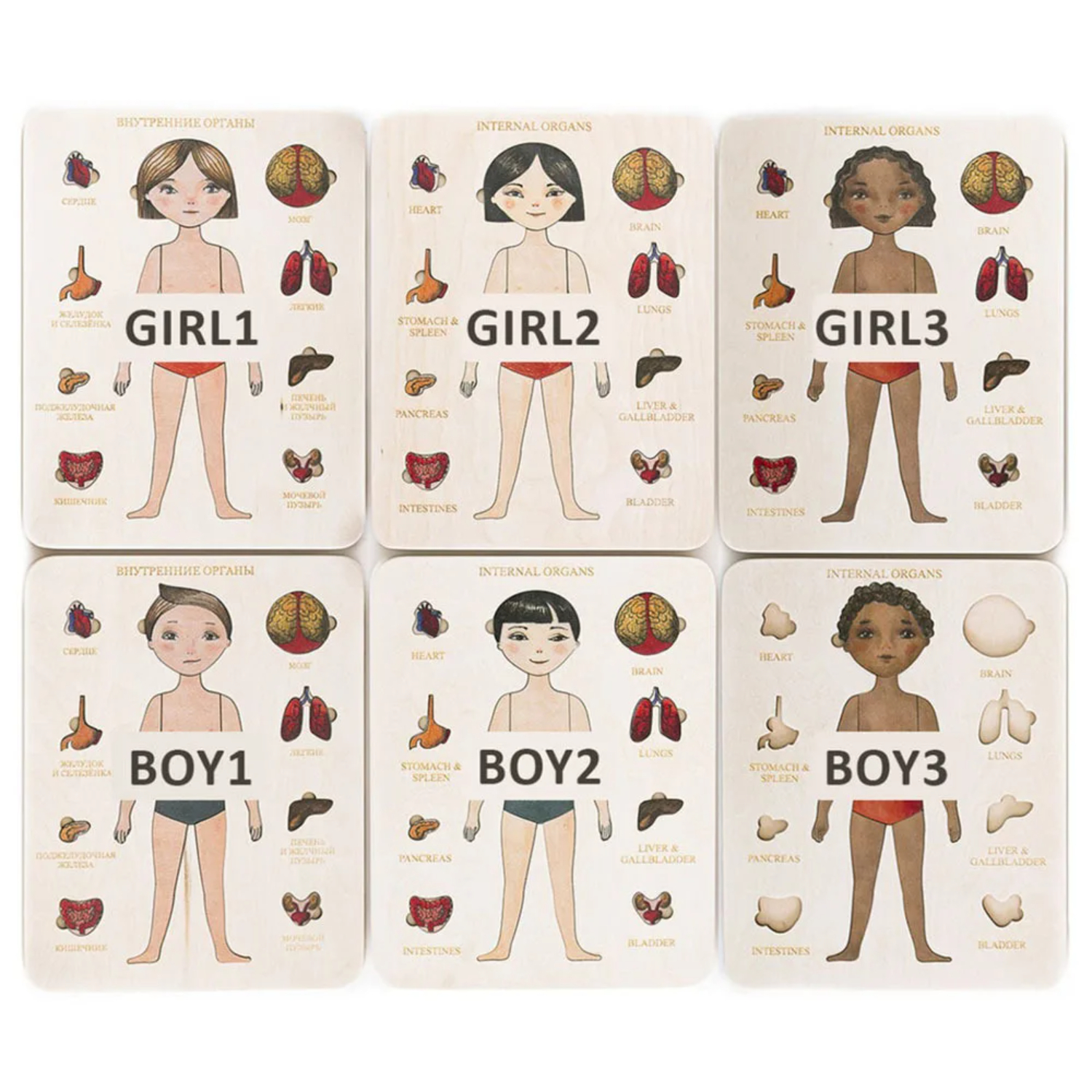 Montessori Wooden Puzzle Male  - مراجعة Human Body Puzzle وسعره