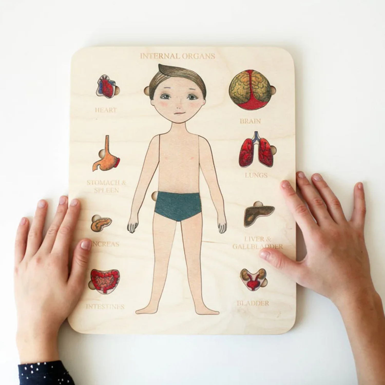Montessori Wooden Puzzle Male  - مراجعة Human Body Puzzle وسعره