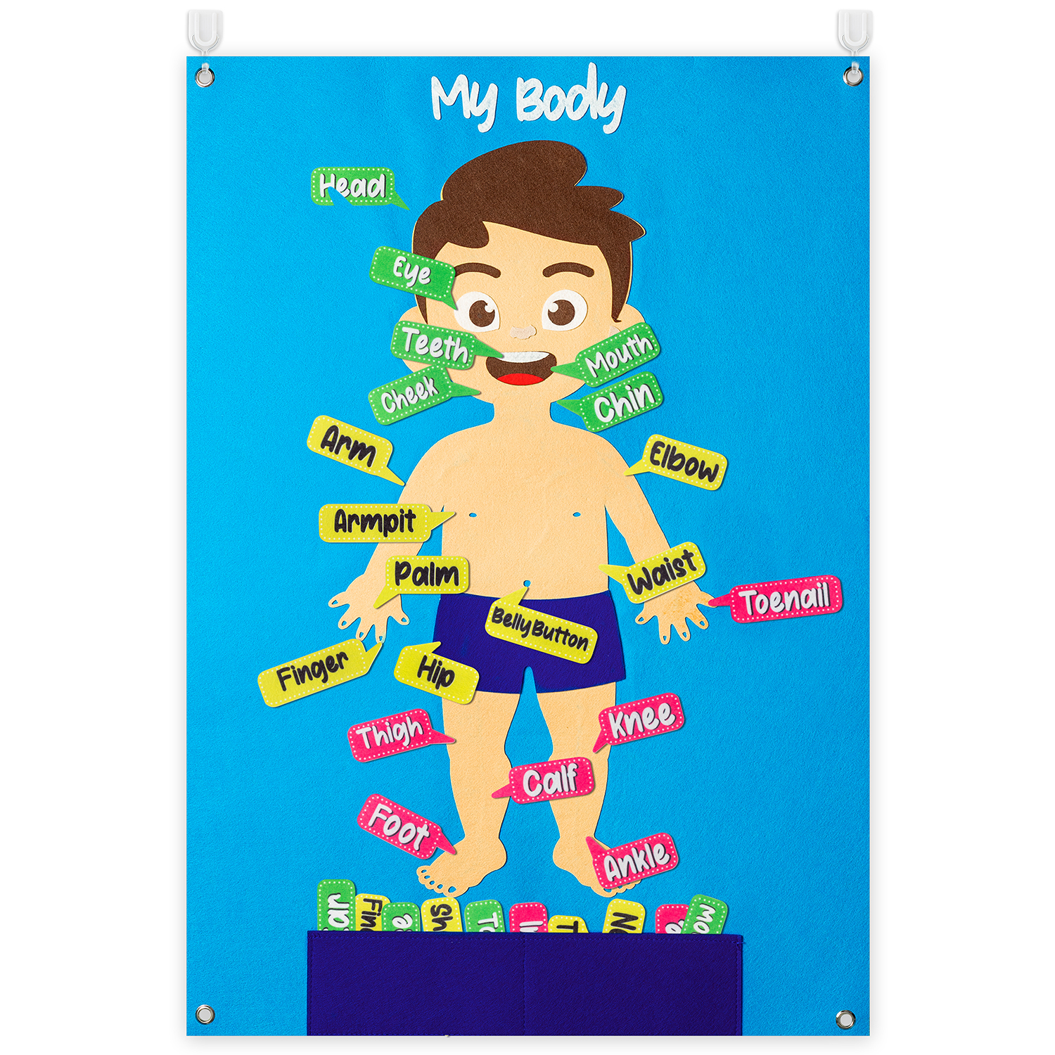 35Pcs Body Awareness Full Felt - مراجعة Human Body Puzzle وسعره