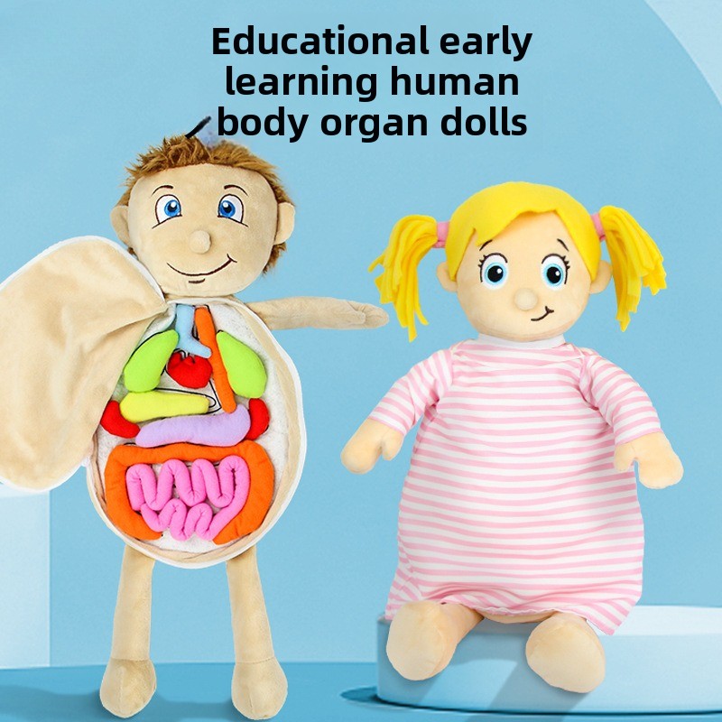 1Pc Human Organ Cognition Puzz - مراجعة Human Body Puzzle وسعره