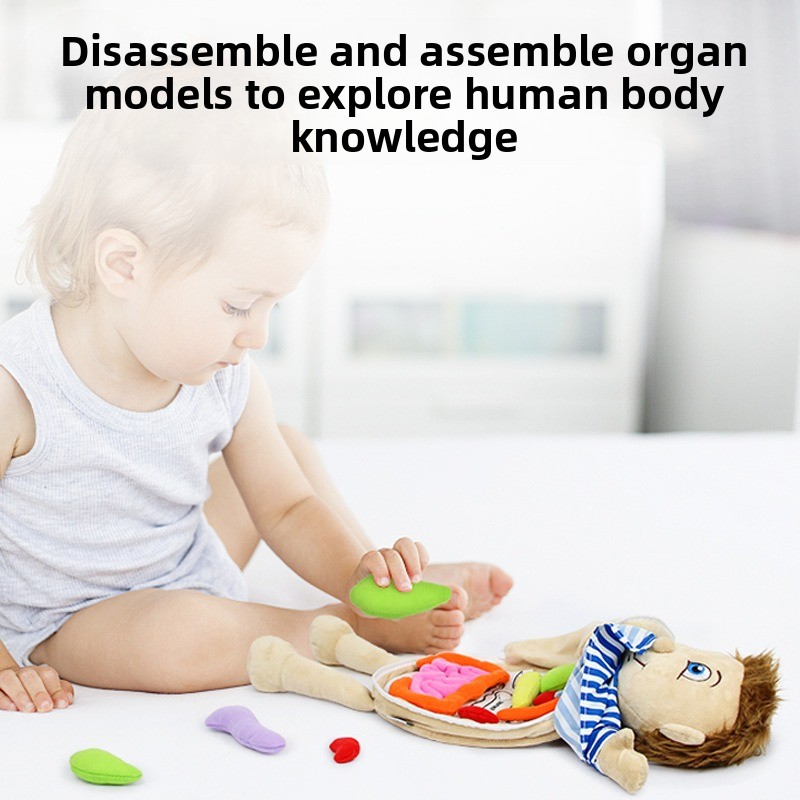 1Pc Human Organ Cognition Puzz - مراجعة Human Body Puzzle وسعره