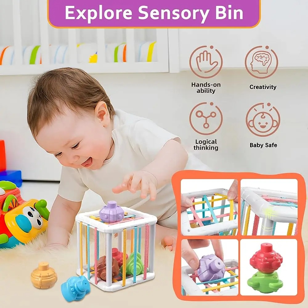 Rainbow Colorful Montessori Sh - مراجعة Kids Educational Resources وسعره