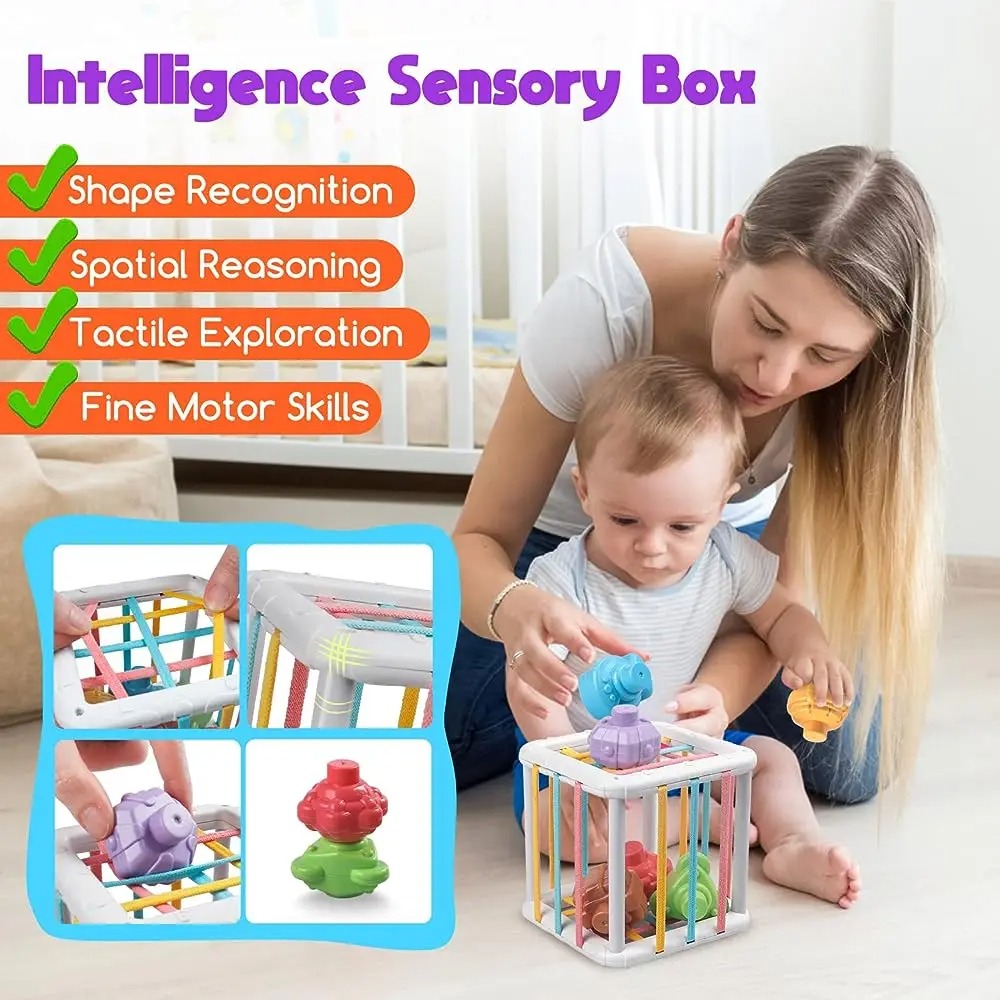 Rainbow Colorful Montessori Sh - مراجعة Kids Educational Resources وسعره