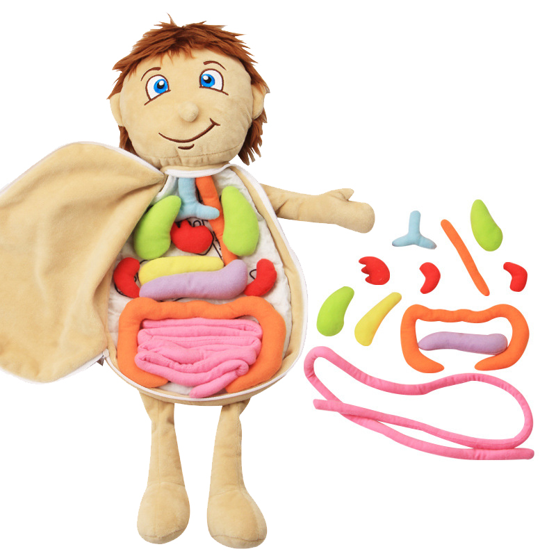 Kid 3D Puzzle Human Body  Mode - مراجعة Human Body Puzzle وسعره