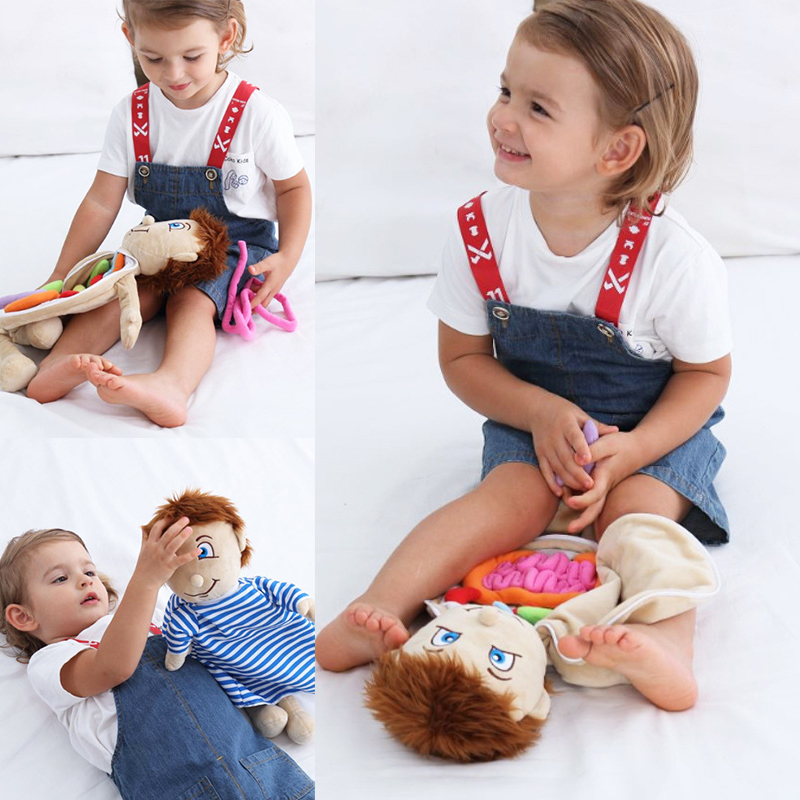 Kid 3D Puzzle Human Body  Mode - مراجعة Human Body Puzzle وسعره