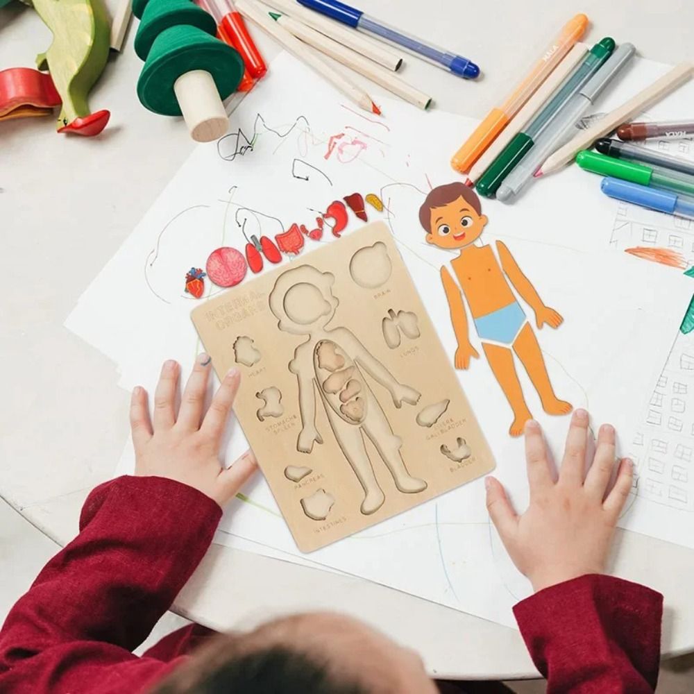 NEW Learning Board Montessori  - مراجعة Human Body Puzzle وسعره