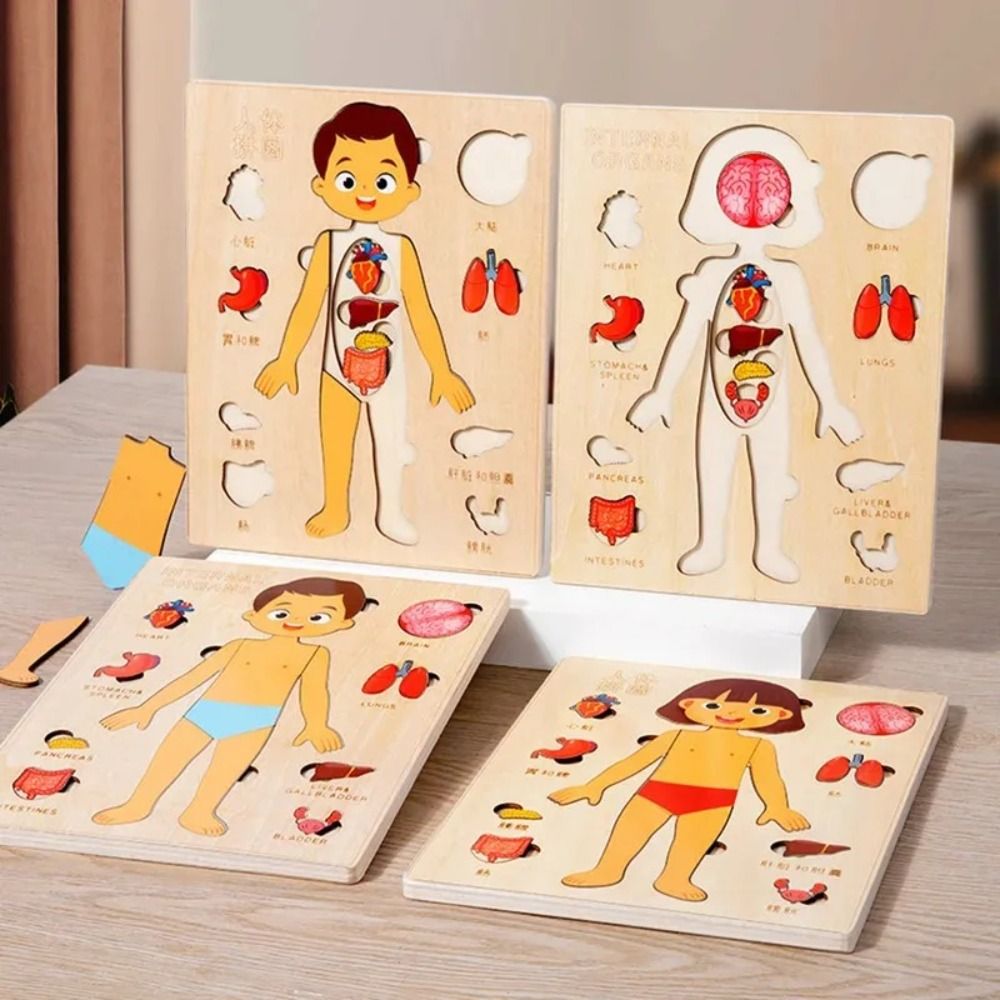 NEW Learning Board Montessori  - مراجعة Human Body Puzzle وسعره