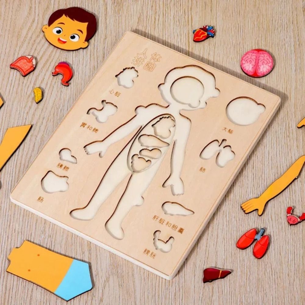 NEW Learning Board Montessori  - مراجعة Human Body Puzzle وسعره