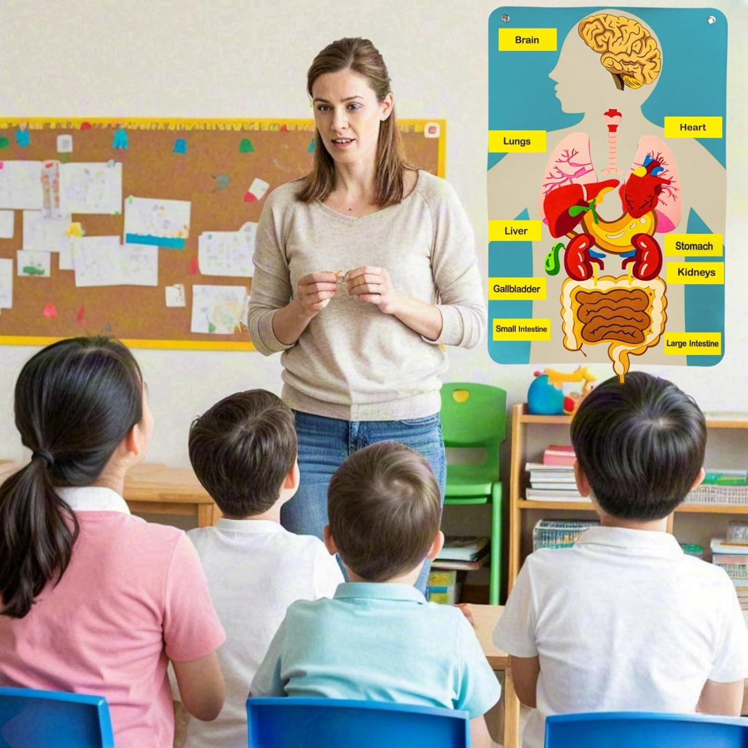 Human Body Parts Felt Board St - مراجعة Human Body Puzzle وسعره