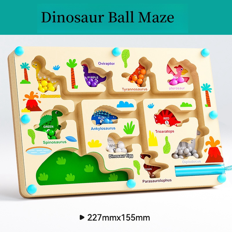 Magnetic Maze Toy With Magneti - مراجعة Human Body Puzzle وسعره