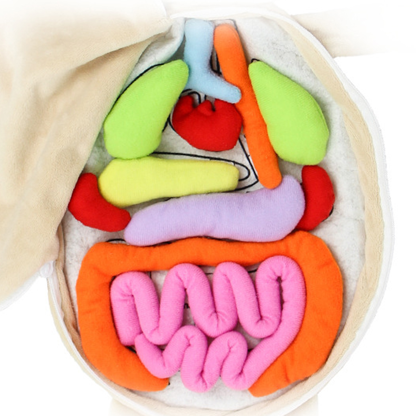 Kid Montessori Toys 3D Puzzle  - مراجعة Human Body Puzzle وسعره